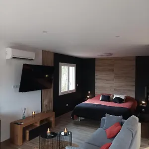 Loft Sauna Jacuzzi Ospariegeois Appartement